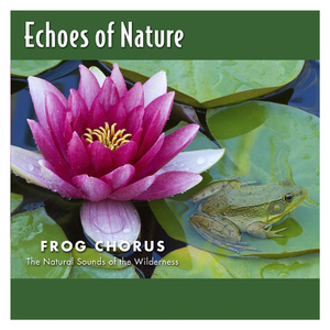 亚洲美女白虎自尉抠逼
